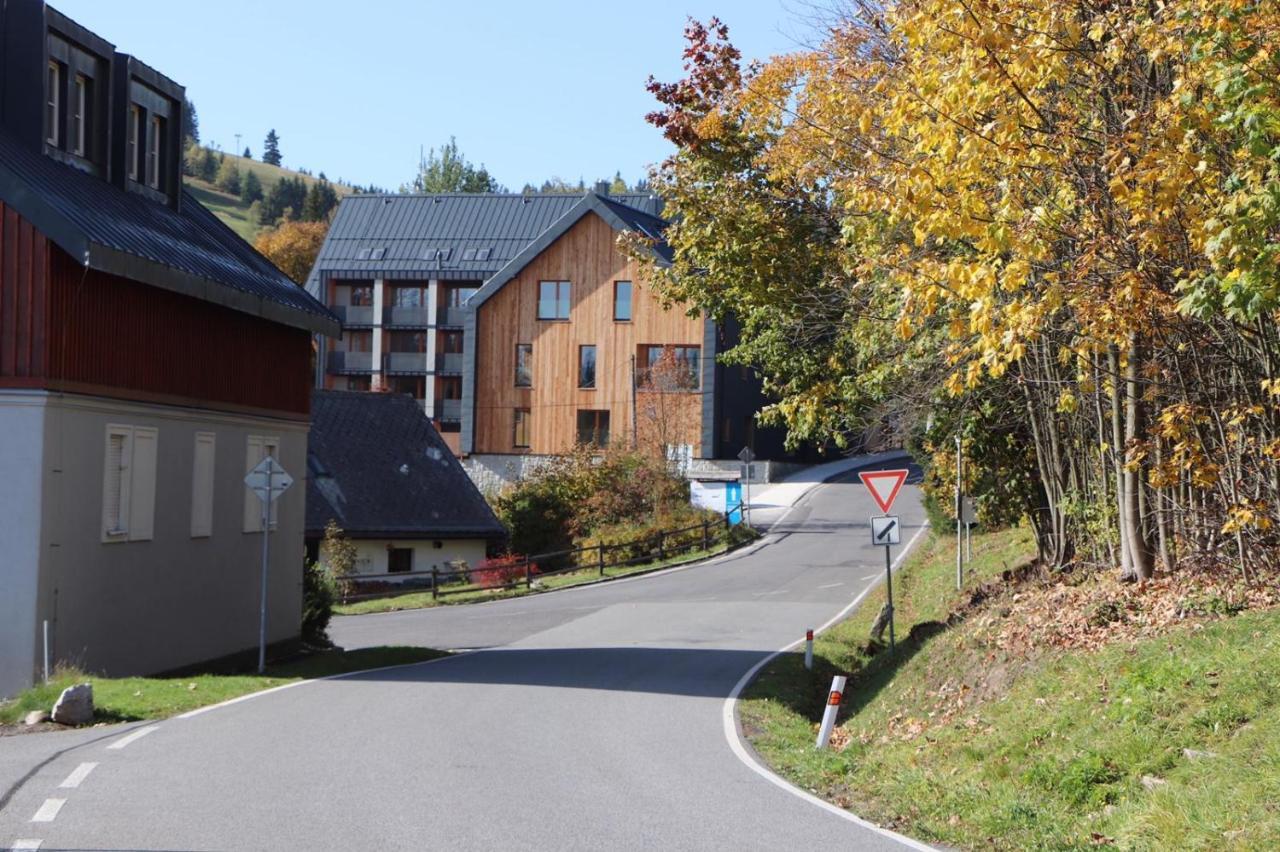 Apartman Milir - Adults Only Bedřichov Buitenkant foto